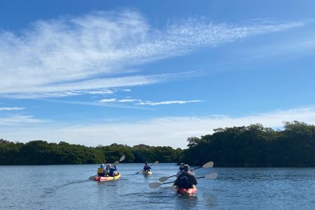 day-04-mangroves-13.jpg
