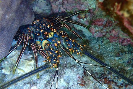 day-06-snorkeling-10.jpg