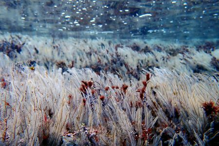 day-03-snorkel-05.jpg