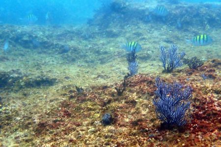 day-01-snorkeling-class-09.jpg