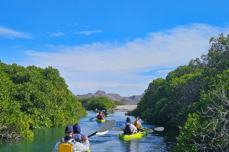 day-04-mangroves-01.jpg