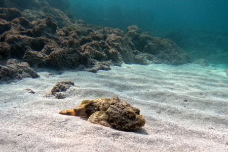 day-03-snorkel-08.jpg