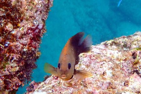 day-01-snorkeling-class-05.jpg