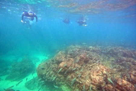 day-03-snorkel-09.jpg