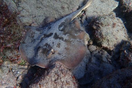 day-06-snorkeling-12.jpg
