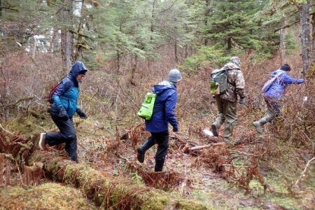 Bushwhacking