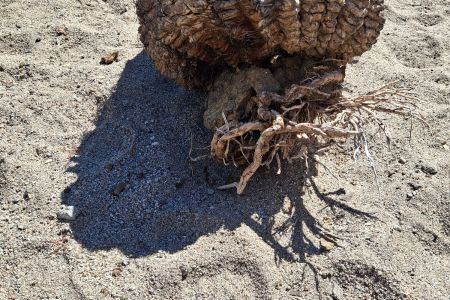 day-06-hike-07.jpg