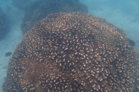 day-06-snorkeling-02.jpg