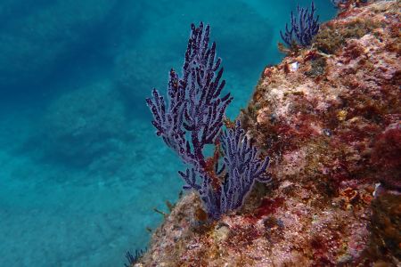 day-01-snorkeling-class-03.jpg