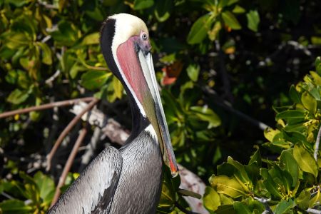 day-04-mangroves-07.jpg