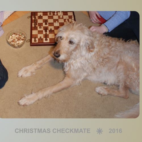 xmas-2016-card-slider-03_e_‪1080 x 560‬.jpg